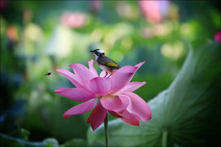 ��������������һ���ɻ䣡���Ҫ��ס��