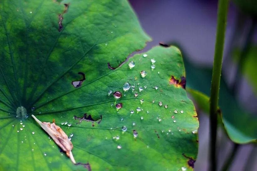 ��Щ����֪������ѧ��ʲô��