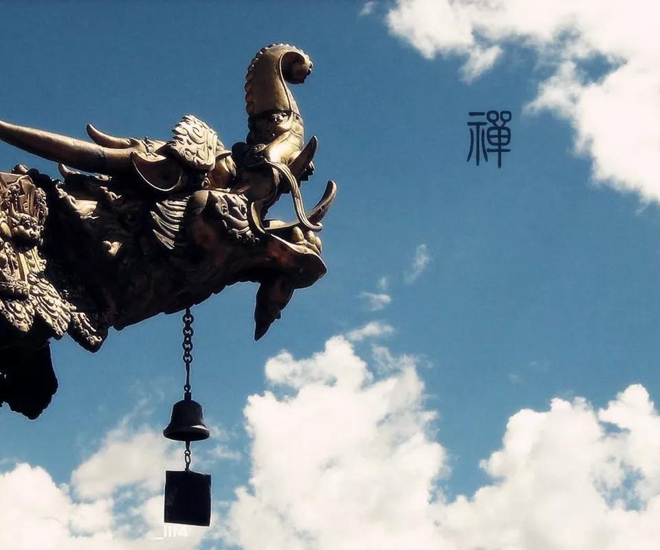 ��Щ����֪������ѧ��ʲô��