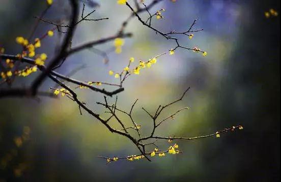 怕啥来啥怎么办?快看学佛必知八大因果定律 怕啥来啥怎么办?快看学佛必知八大因果定律