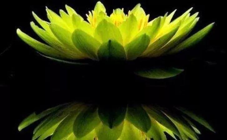 ӡ�ⷨʦ�����ܾ��꾡�֣������޳֣����ѵֹ���