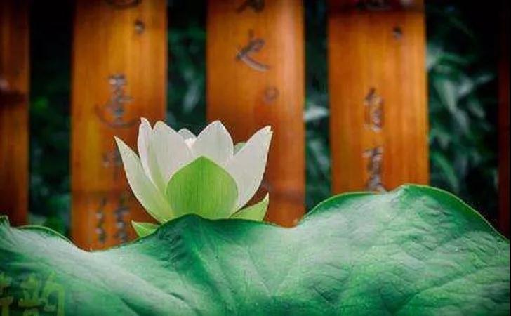 ֻҪû�о���ӵ�еĶ���Խ��Խ�࣡