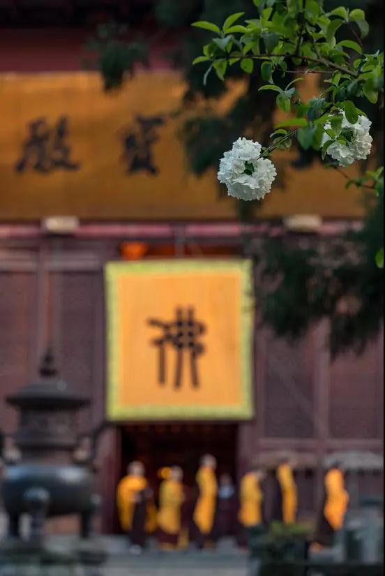 ѧ��������������ô�죿