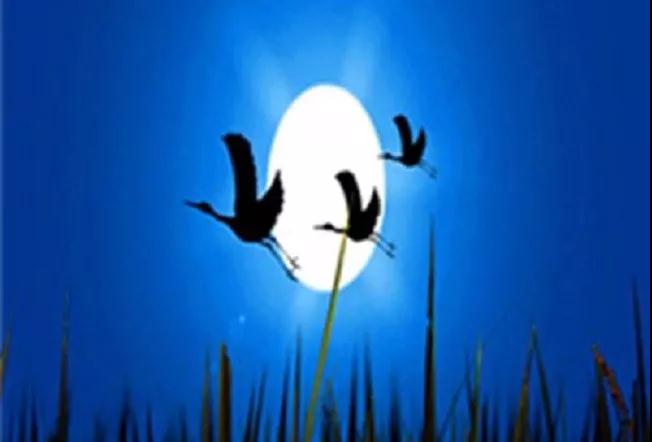 ӡ�ⷨʦ��һ����;������ʱ����