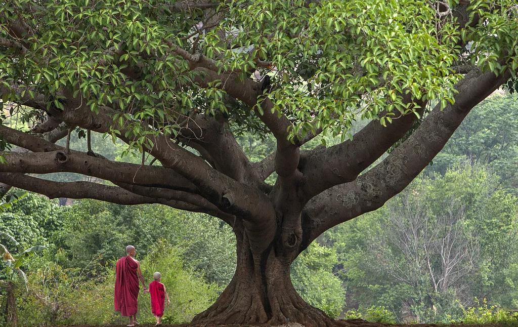 Ϊʲô˵�����е���ҵ�У��������ġ������صģ�