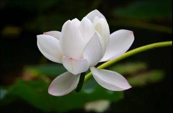 �������ŵķ��ͽ������ʥ�Ϸ�ʦ��ô˵