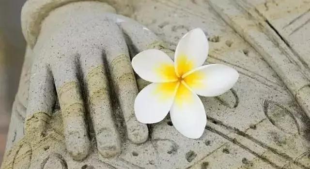 ѧ���벻ѧ�𵽵���ʲô��ͬ��