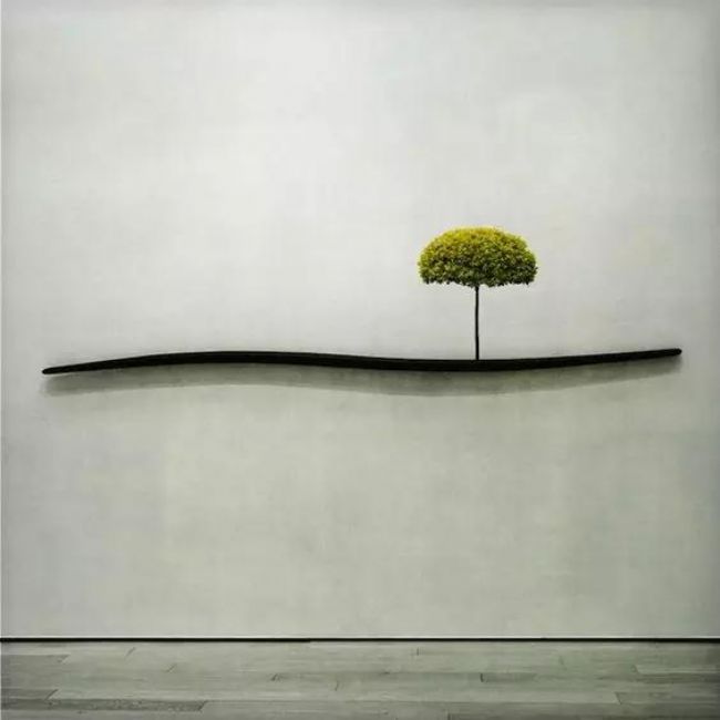 �β��Ϻ��У����������ʲô���磿