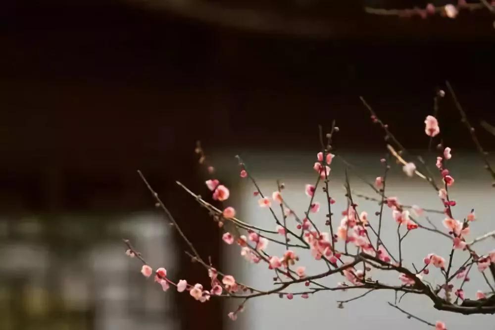 ���˵��Ƿ��ƶ�����θɣ�