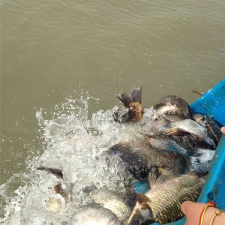 10��1�ջ����������������ʮ������ȼ�Ʒ�ʥ���������ᣡ����Բ����