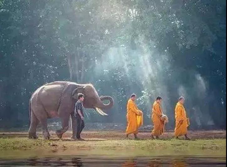 ӡ�ⷨʦ������������׶�����