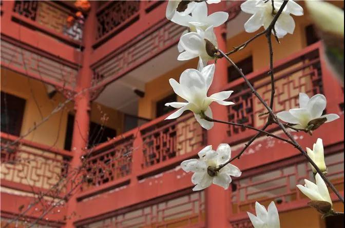 ���˼�ͥ��ѧ�����棡