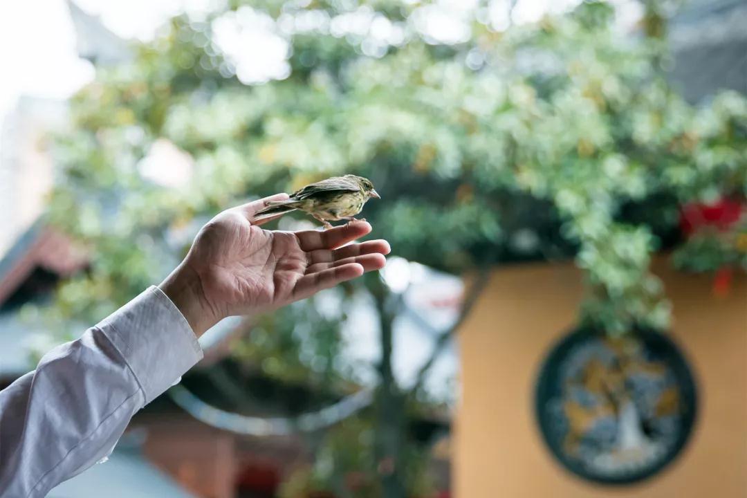 十分福气只享三分,千万别把福报都吃完 十分福气只享三分,千万别把福报都吃完