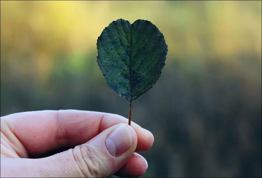 真念佛,就要念在心里! 真念佛,就要念在心里!