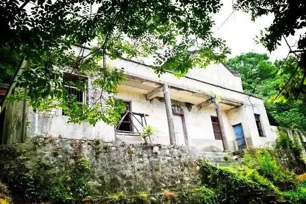 她是富有生命力的雕塑,远远看着就是一种力量 她是富有生命力的雕塑,远远看着就是一种力量