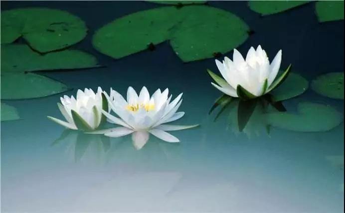 ��λ�����˵���������