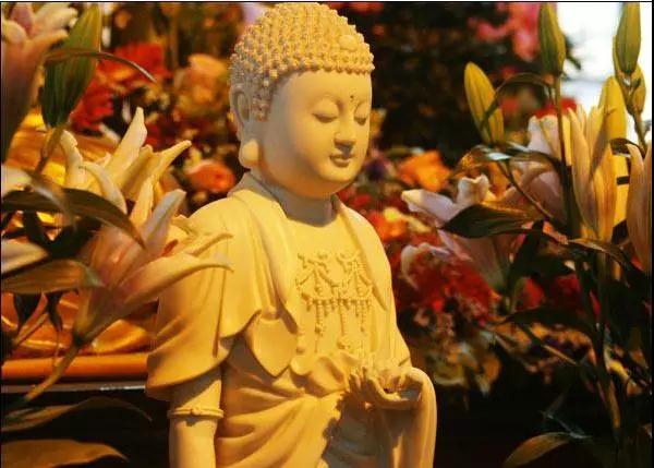 阿弥陀佛名号也是治病的灵丹妙药 阿弥陀佛名号也是治病的灵丹妙药