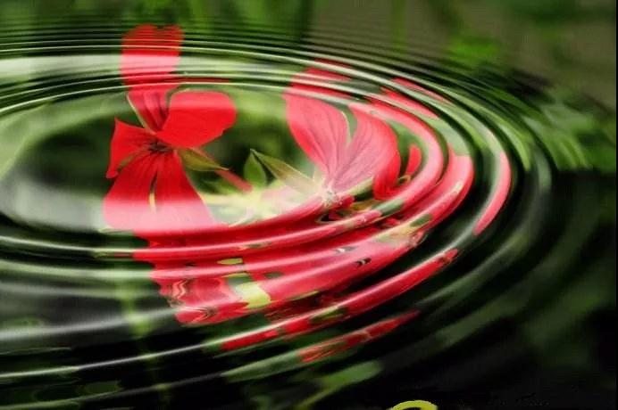 ѧ�����и��Լ�������ѹ�����ǲ���ѧƫ�ˡ���ƫ����