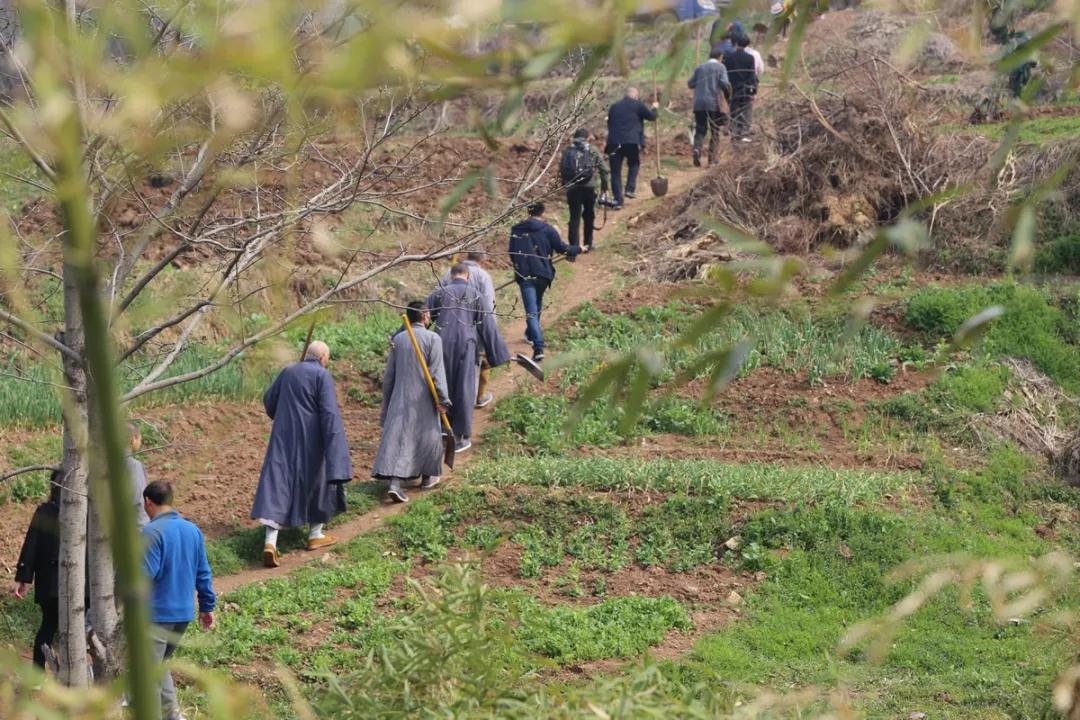 ��ǧ�򶼲��뷨�ۣ����ǧ�����Ϊ����Ǯ����ȥ