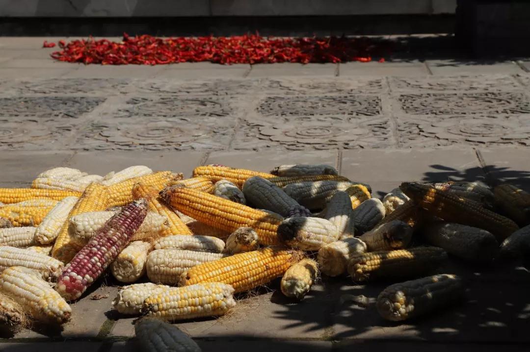 ��ǧ�򶼲��뷨�ۣ����ǧ�����Ϊ����Ǯ����ȥ