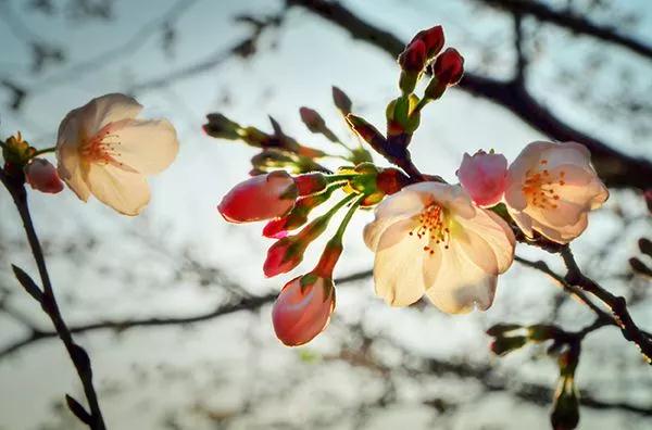 ӡ�ⷨʦ�����������ߣ�����֮��ҵ��Ҳ���������ƣ����������