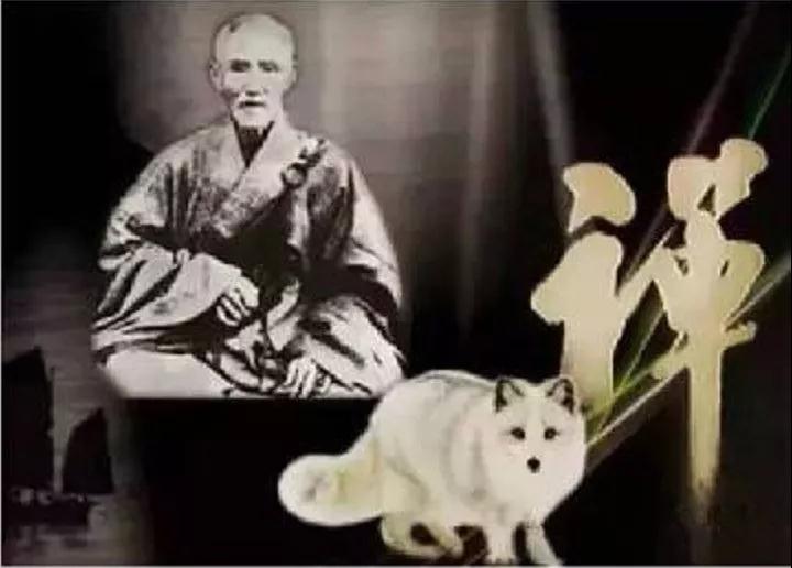 虚云老和尚与白狐的传奇故事 虚云老和尚与白狐的传奇故事