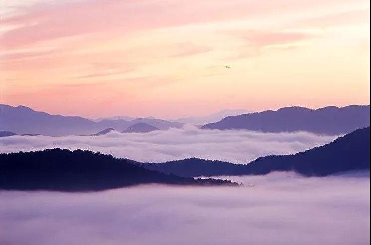 ӡ�ⷨʦ�������ľ����������