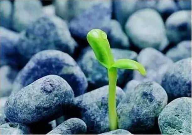 如果想往生_就要把你的后路切断! 如果想往生_就要把你的后路切断!