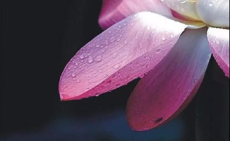 Զ��ֱ�ִ�Ų�������