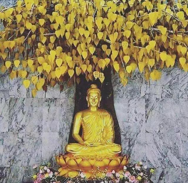 ������ȥ����̰δ������ϵ���£��ɴ˰���