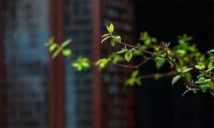 ������ȥ����̰δ������ϵ���£��ɴ˰���