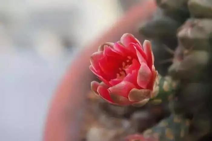 ����Ҫ�ƴ��Լ�һʱ����Ҫ�ƴ��Լ�һ��