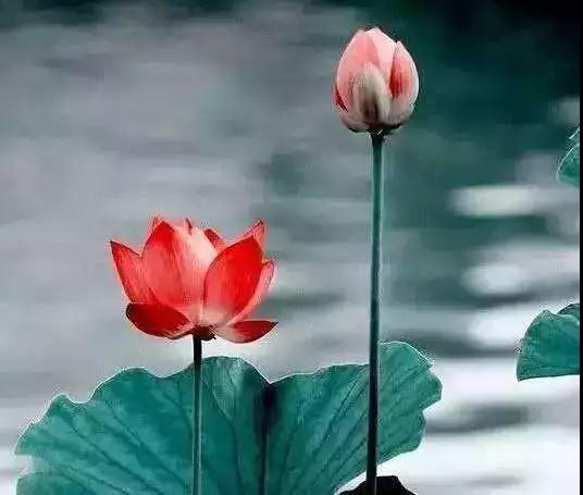 ��һ��ʦ�������������