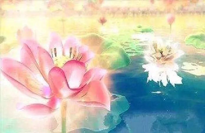 ӡ�ⷨʦ������ȥ��𣬼�ʹ���ڶ��Ҳ������