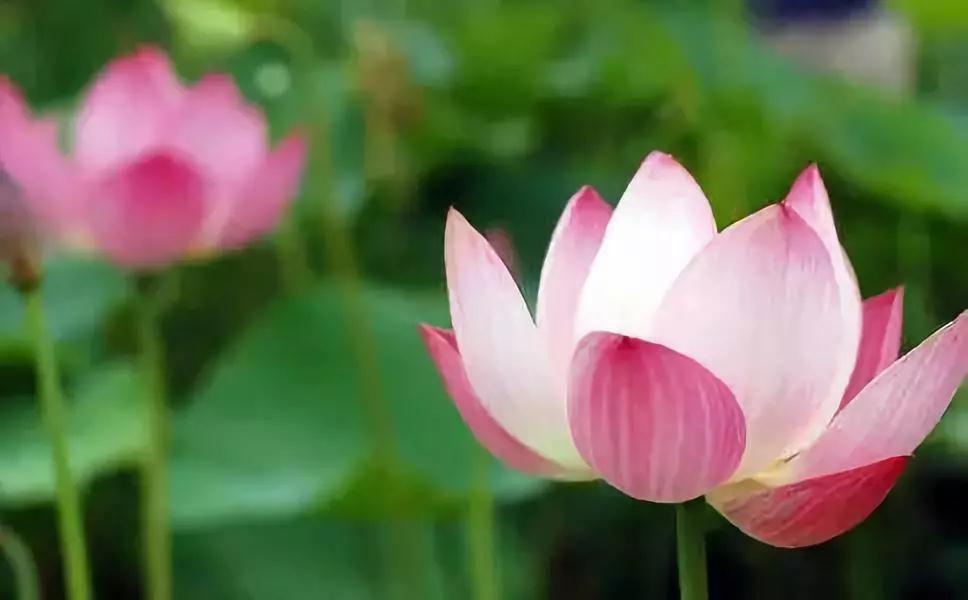 �β���д����վ�������ʹÿ��ֻ��д�����