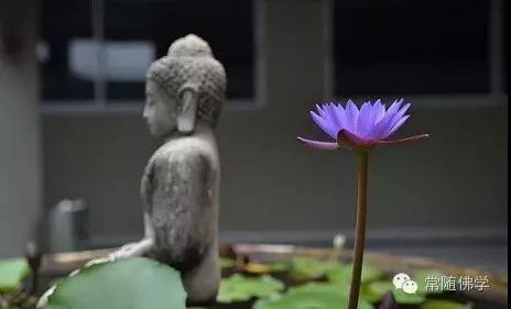 ���µ������ȴ����Ĵ�������