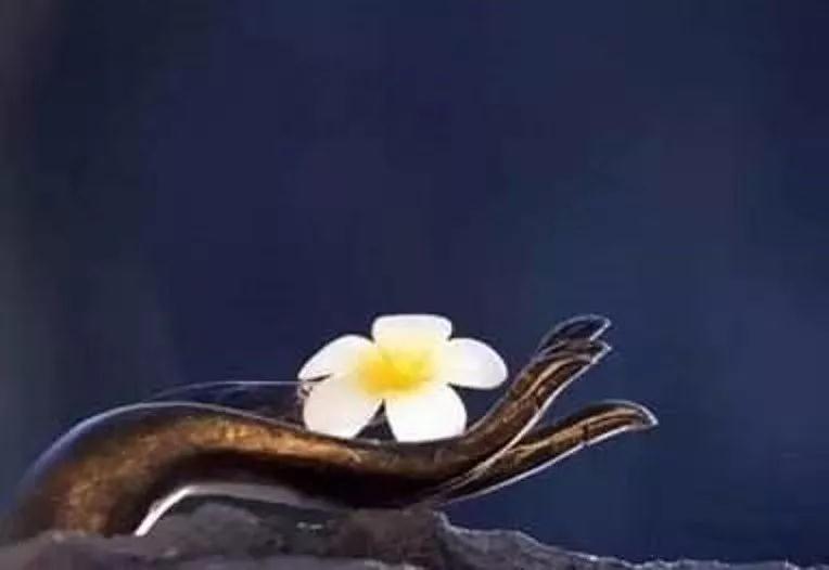 �����ӳ���Ҫ��������������Ҫ��