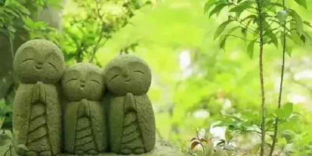 �������������Ӧ����β������Լ�����֮Ը�ٳɣ�