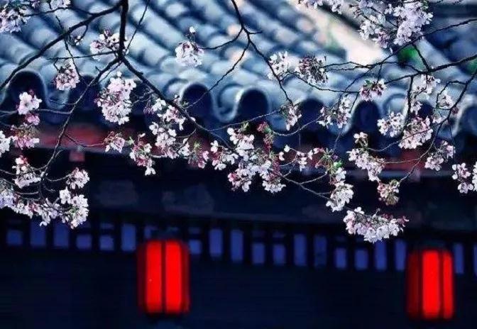 ӡ�ⷨʦ���뷳������֮����ս���ؾ�һ���վ�����֮־