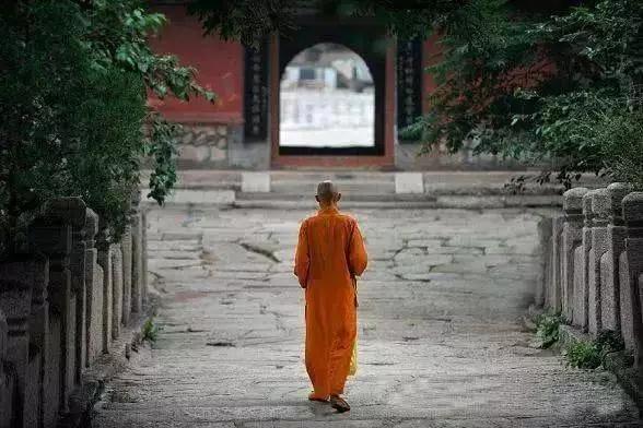 С���ض�û������ˣ��Ƥ�к��ã�