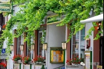 ̹Ȼ��������е�ΥԵ��˳Ե