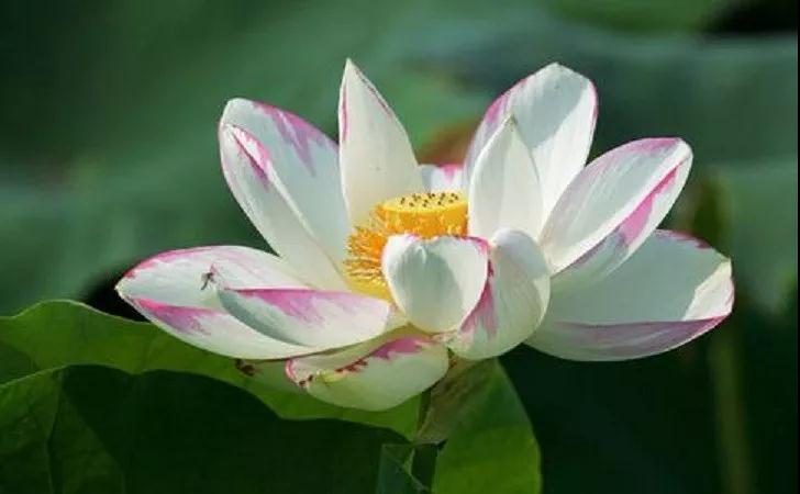 �����������������������������ĸ��ˣ�