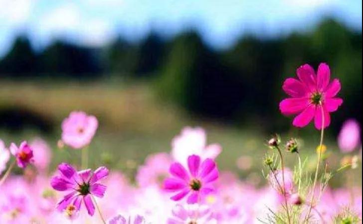 Ϊ�����֮���أ����Լ��������£���ĮȻ��֮