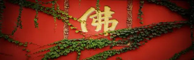 �����ʱһֱ�����ܱ��ˣ����󡰰����ӷ𡱿������ң�������