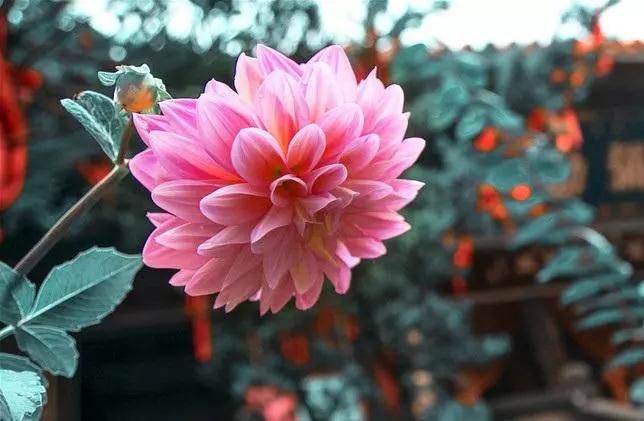 ӡ�ⷨʦ�����һ�����걾ͳ��