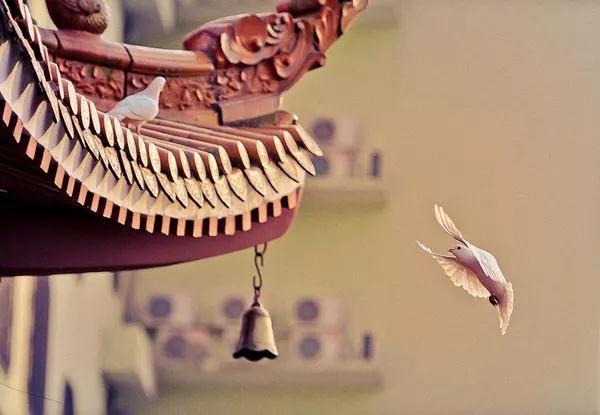 圣严法师:如何在日常生活中禅修? 圣严法师:如何在日常生活中禅修?