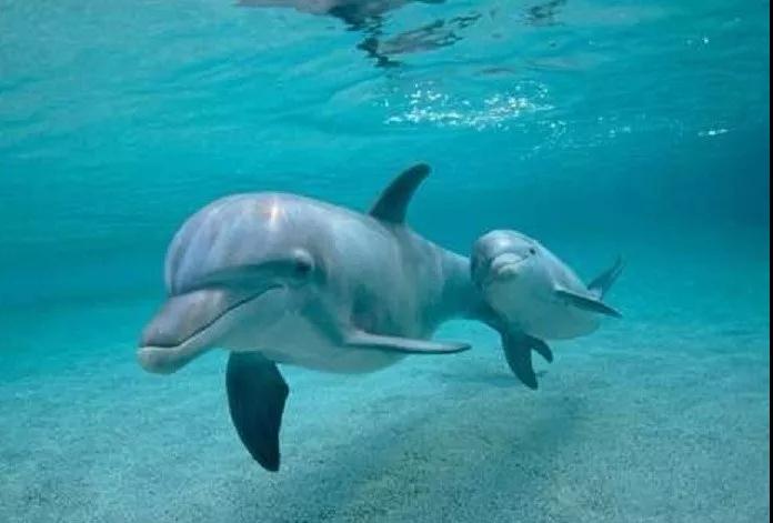 �����ĸ�����ʲôʱ���ˣ�