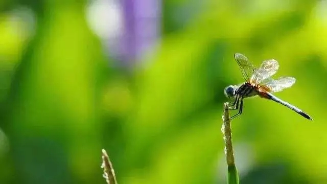 ռ����ռ���ˣ������ֻ�����������أ�