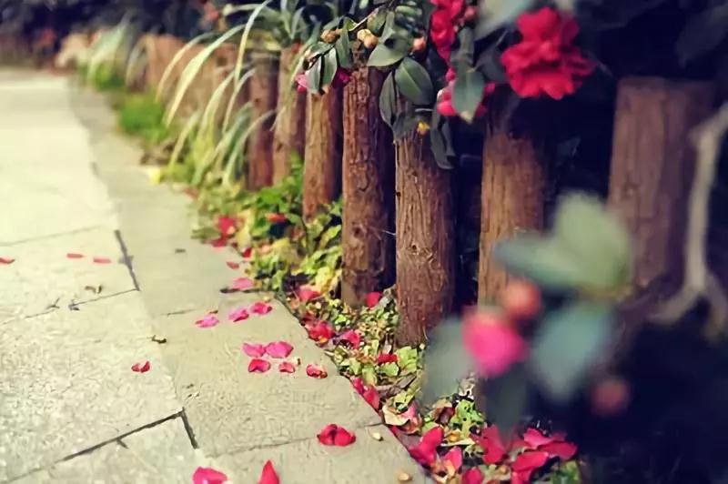 ��������ʱ����ס���������������