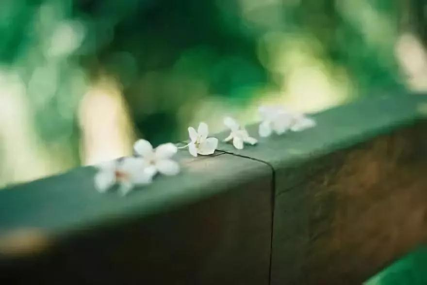 ����ҪԲ�ڣ���ͬÿһ���˵Ĳ����